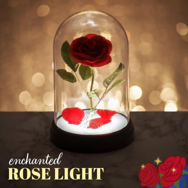 Lampe rose enchantée fond